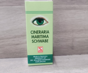 Cineraria